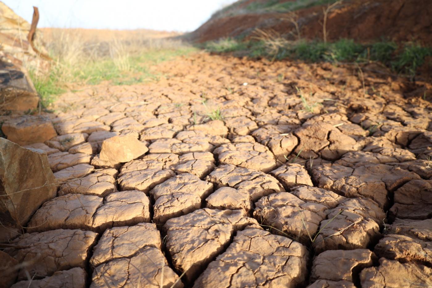 Water Crisis: Andalucía